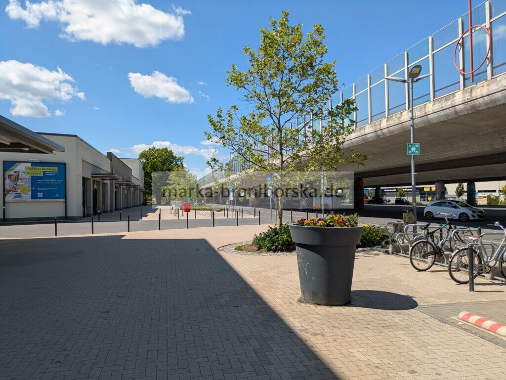 ludwigsfelde
